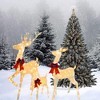 Christmas Deer Family LED Lights Decorative Holiday Indoor Outdoor Display - 3 of 4