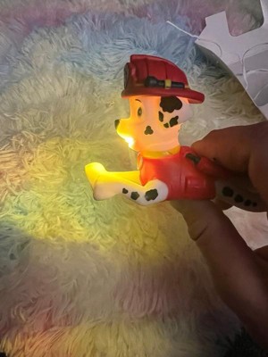 Energizer Paw Patrol Flashlights Combo Pack : Target