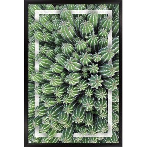 Trends International Cactus - Group Framed Wall Poster Prints - 1 of 4