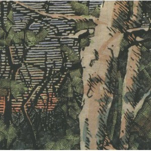 Anomoanon - Asleep Many Years in the Wood (CD) - 1 of 1