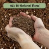 Soil Sunrise Olive Tree Potting Soil Mix, for Planting, Repotting, Growing Plants - 4 of 4