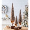 Melrose Potted Bottle Brush Tree (Set of 3) - 2 of 3