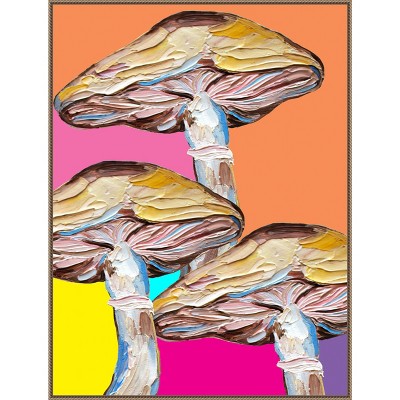 Colorful Mushrooms Abstract Canvas Wall Art with Bronze Frame, 32 x 42-in