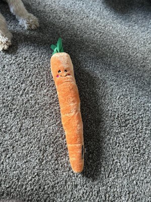 Silver Paw Carrot Dog Toy