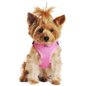 Doggie Design Wrap and Snap Choke Free Dog Harness - Candy Pink - 1 of 4