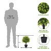 COWLOWN 2ft Set of 2 Boxwood Topiary Ball Trees Artificial Outdoor, UV Resistant Faux Evergreen Plants, Outside Greenery - 4 of 4