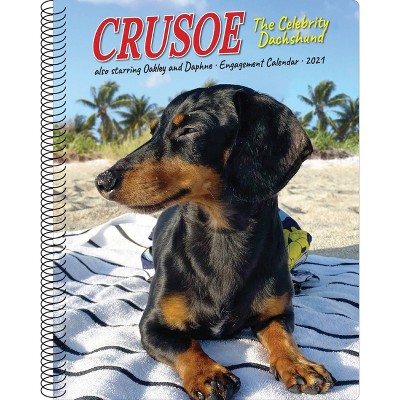 2021 Daily Engagement Desktop Calendar Crusoe the Celebrity Dachshund - Willow Creek Press