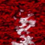 red/ivory