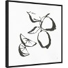Amanti Art Limes BW by Chris Paschke Canvas Wall Art Print Framed 22 x 22-in. - 3 of 4