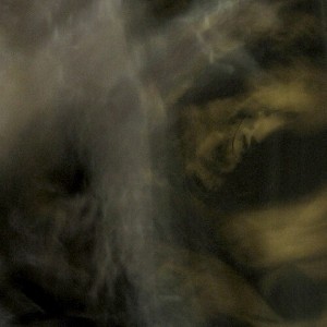 Rhea Tucanae - Fungi from (CD) - 1 of 1