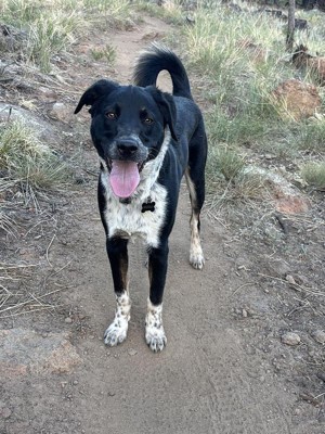 Guest review image 2 of 2, zoom in