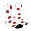 Ladybug Road Women Printed Crew Socks Funny Funky Socks Soft Polyester Novelty Gifts for Artists Men - 3 of 4