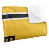 Northern Kentucky University Primary Logo Stripes Silky 50x60 Blanket, 1 Sided 50x60 - 3 of 4