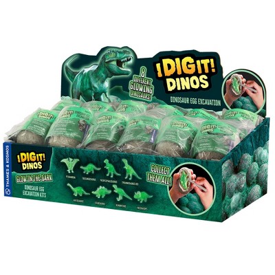 I Dig It! Dinos - Glow-in-the-Dark Dino Egg (24-pc Display)