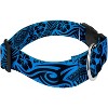 Country Brook Petz 1 1/2 Inch Deluxe Dog Collar - Attitude Collection - 3 of 4