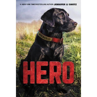 Hero (Paperback) (Jennifer Li Shotz)