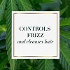 Herbal Essences bio:renew Hemp + Potent Aloe Sulfate Free Shampoo Frizz Control 20.2 fl oz - 4 of 4