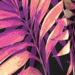 black tonal palms