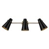Golden Lighting Reeva 3 Light Bath Vanity - 2 of 2