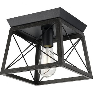 Progress Lighting Briarwood 1-Light Flush Mount, Textured Black, Faux-Painted Wood Enclosure - 1 of 4