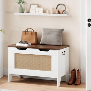 Jojoka Storage Chest, Storage Bench with Safety Hinge, Wood Large Toy Box, Storage Trunk for Entryway, Living Room, Bedroom, Playroom - 1 of 4