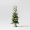 5' Pre-Lit Potted Slim Balsam Artificial Christmas Tree - Wondershop™ - 3 of 4