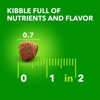 Large Breed Chicken and Whole Grain Adult Dry Dog Food, 30 lbs