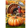 Briarwood Lane Fall Thanksgiving Garden Flag 12x18 For Outdoor Wild Turkey and Pumpkins For Thanksgiving Garden Flag Flags For Outside - 3 of 4