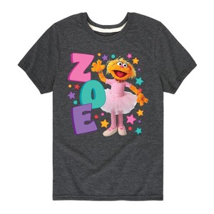 Boys' - Sesame Street - Zoe Short Sleeve Graphic T-Shirt - 1 of 4