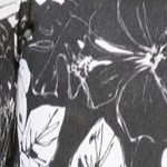 black tropical foliage