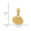 Black Bow Jewelry 14k Yellow Gold Small Textured Clam Shell Pendant - 4 of 4