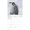 Trends International 2025 Animal Babies Wall Calendar: Monthly, 12x12 Inches, Multicolored, Saddle Stitch Binding - 2 of 4