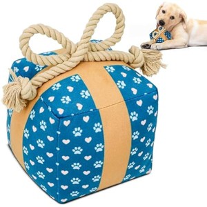 Gift Box Dog Birthday Toy ¨C The Perfect Present for Dogs, Plush Squeaky Toy with Rope Bow, Fun Puppy Birthday Gift - 1 of 1