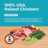 Joyride's Kitchen Wholesome All Natural Chicken Freeze-Dried Raw Dog Food - Joyride Harness - 4 of 4
