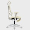 Dsvimoy Task and Office Chair Ergonomic Mesh Chair with Adjustable Armrest and Footrest for Office Use, Beige, 24.41"*13.78"*22.83" - 3 of 4