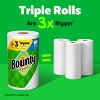 Bounty Select-A-Size Paper Towels - 4 of 4