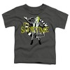 Toddler Boys' Beetlejuice Its Showtime T-Shirt - 2 of 4