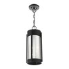 Livex Lighting Sheridan 2 - Light Pendant in  Black/Brushed Nickel - 4 of 4