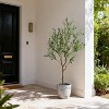 Coucheta 5/6/7ft Artificial Olive Tree with Planter, Realistic Faux Potted Plant with Fruits for Home Office Indoor Decor, Green - 4 of 4