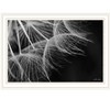 HomeRoots Delicate Beauty White Framed Print Wall Art - 4 of 4