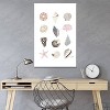 Seashell Collage by LindseyKayCo Unframed Wall Canvas - iCanvas - 3 of 4