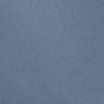 postman blue