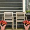 Live 6" Pelee Mum Cover - Good Little Garden™ - 4 of 4