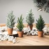 Sullivans 60" Artificial White Eucalyptus Cone Garland - 4 of 4