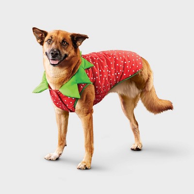 Reflective Strawberry Dog Vest - Boots & Barkley™ Cherry Red