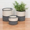 Colonial Mills Jaydon Basket - Blue 10"x10"x12" - 3 of 3