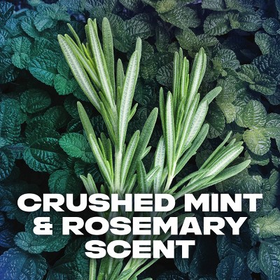 Axe Phoenix Clean + Cool Crushed Mint & Rosemary Scent Body Wash Soap - 2pk/16 fl oz: Paraben-Free, Aluminum-Free Liquid for Normal Skin