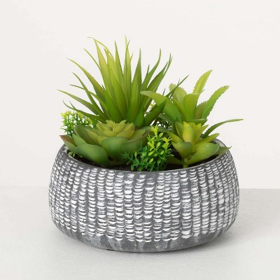 Sullivans Artificial 6" Succulent Cement Premade