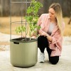Vego Garden Self-Watering Rolling Tomato Rectangular Indoor Outdoor Planter Pot with Trellis 15"x15"x55" - 4 of 4