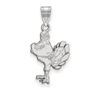 Black Bow Jewelry 14k White Gold Virginia Tech Hokies NCAA Large Pendant - 1 of 3